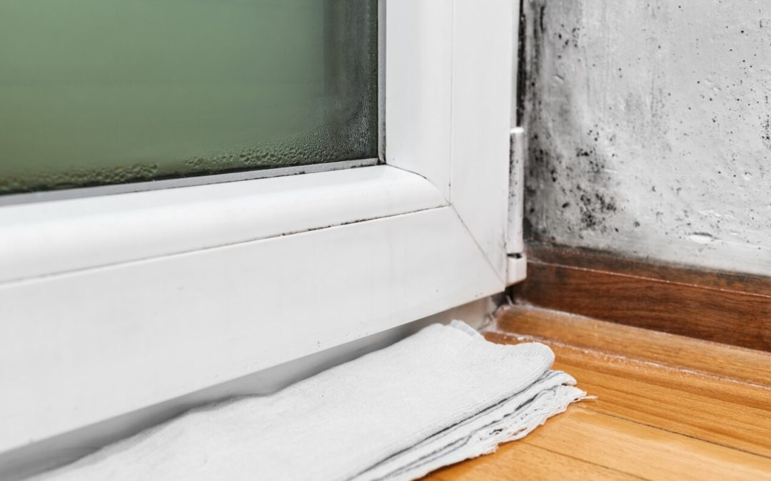 keep a healthy and safe home by removing mold